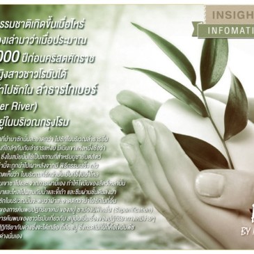 สบู่ธรรมชาติเกิดขึ้นเมื่อไหร่?