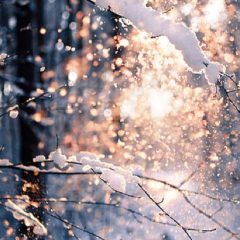 เคล็ด (ไม่) ลับการดูแลผิวหน้าหนาวด้วยวิธีง่ายๆ สำหรับความหนาวระดับต่างๆ